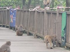 -黔灵山公园