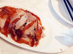 -金蝉食府(维吉奥广场店)