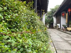 -鸣鹤古镇