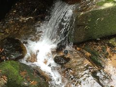 -山沟沟景区