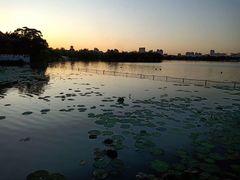 -上海年代·浙菜家烧·小海鲜(水上东路店)