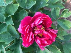 -北京西山国家森林公园