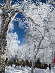 -大秃顶子山