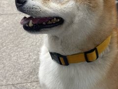 -大连圣亚海洋世界