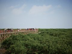 -北海金海湾红树林生态旅游区