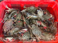 -白沙洲农产品大市场海鲜交易区