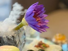 -苏州希尔顿酒店·园大堂吧