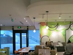 -油梨树 AVOCADO TREE(亮马桥店)