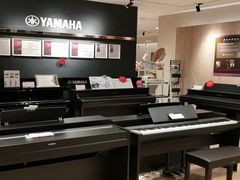 -雅歌音乐培训中心·钢琴培训·乐器培训(交道口店)