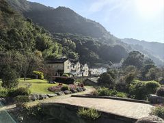 -雁南飞茶田景区