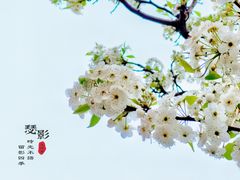 -中山公园