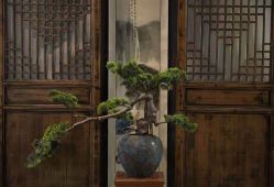 -凤绫儿亲子儿童摄影馆(天津店)