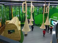 -黄海国家森林公园