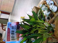 -施奈儿.洗头頭療.按摩SPA.采耳(上梅林店)