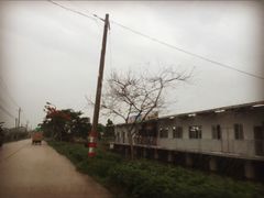 蔡社牛肉城-蔡社牛肉城(龙湖店)