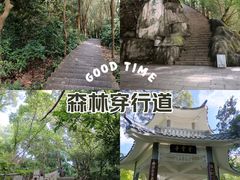 -梧桐山风景名胜区