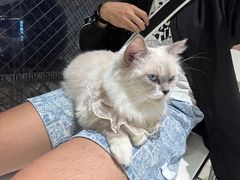 -怪兽屋·羊驼·猫咖·狗咖(俊华广场店)