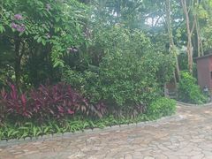 -碧水湾温泉