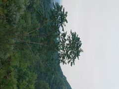 -黄金寨原生态旅游区