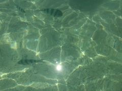 -东姑阿都拉曼海洋公园