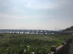-星海湾跨海大桥