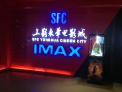 -SFC上影影城(港汇永华IMAX激光店)