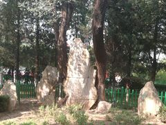 -双榆树公园