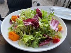 有机蔬菜沙拉-车谷小镇