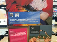 -BHG Mall(顺义店)