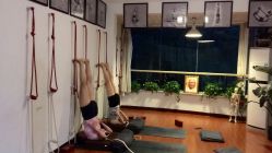 -成都阿难陀艾扬格瑜伽中心