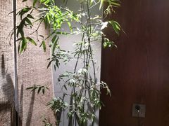 -本处·素食·融合料理(南油店)