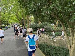 -西湖外事游船(花港观鱼码头)