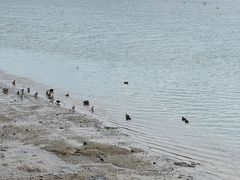 -深圳湾公园(南山区)