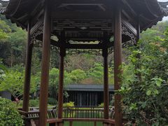-云溪植物园