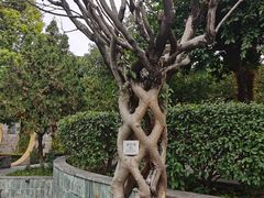 -广州神农草堂中医药博物馆