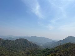 -大岭沟猕猴桃谷风景区