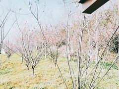 -青山湖景区