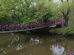-南汇桃花村