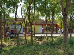 -上海海湾国家森林公园