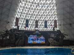 -皇家海洋乐园