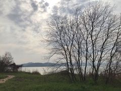 -上海市保健医疗中心(华东疗养院)