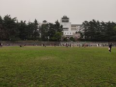 -武汉大学-樱园