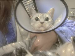 -北京恒爱动物医院(清景园分院)