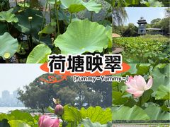 -金鸡湖桃花岛