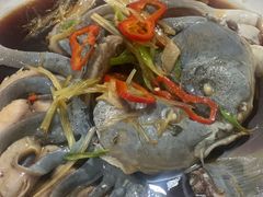-煲来饱去冷水鱼