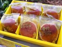 -南普陀素饼