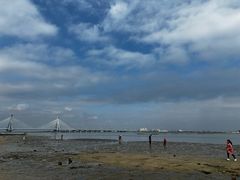 -北海金海湾红树林生态旅游区