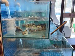 -佳兰雅序融合菜(高新店)