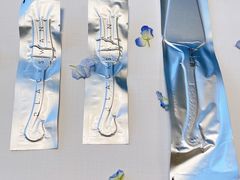 -BLACKSWAN黑天鹅(环球店)