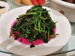-同庆楼(大钟寺店)
